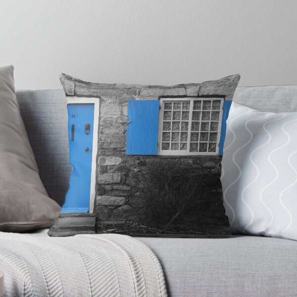 Blue Door Throw Pillow
