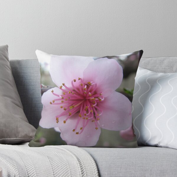 Item preview, Single Nectarine Blossom designed and sold by DPalmer.