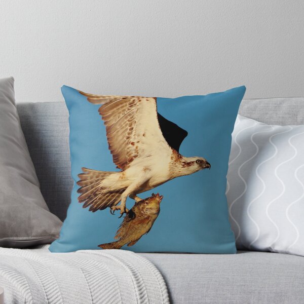 Item preview, Osprey with a black snapper designed and sold by loza1976.