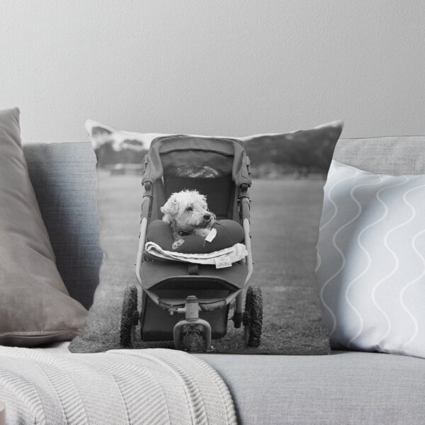 Item preview, Dog in a pushchair designed and sold by paulsborrett.