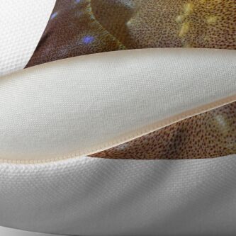 Alternate view of Goldeneye Throw Pillow