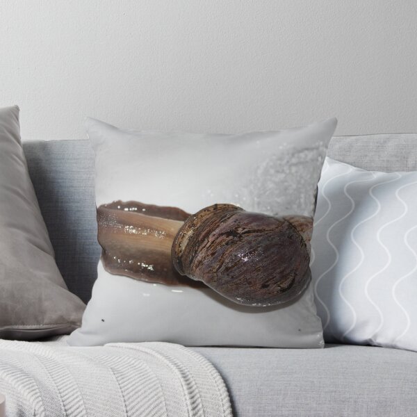 Item preview, Male Giant African Land Snail designed and sold by EmilyWednesday.