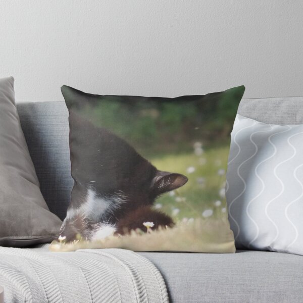 Item preview, Cat in Summer // Greeting Cards & Postcards designed and sold by phan-you-not.