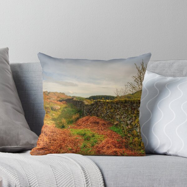 Item preview, The Duddon Valley designed and sold by StephenJSmith.