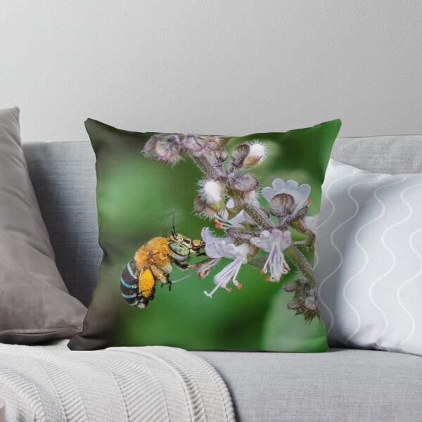 Item preview, Blue Banded Native Bee designed and sold by Helenvandy.