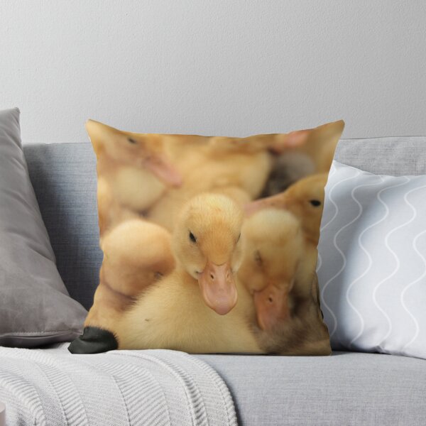 Item preview, Young Ducklings at the Market designed and sold by rhamm.