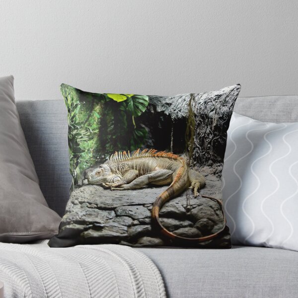 Item preview, Iguana designed and sold by Mark Cooper Photography.