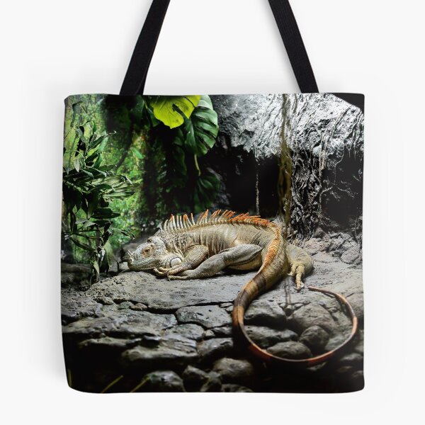Artikelvorschau, Iguana entworfen und verkauft von Mark Cooper Photography.