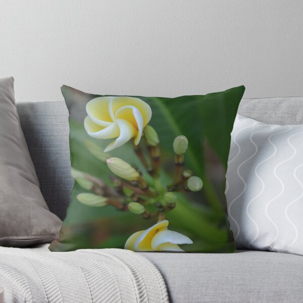 Item preview, Stay tuned... designed and sold by Gary Kelly.
