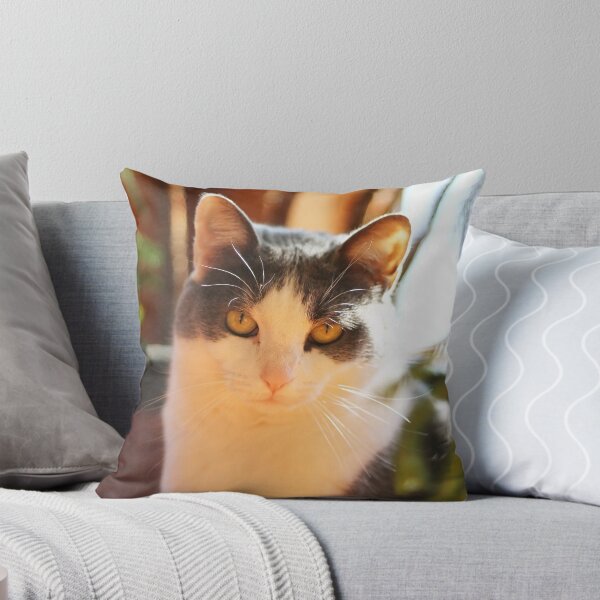 Item preview, Sunbathing Cat designed and sold by CAPhotography.