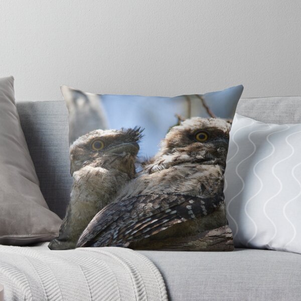 Item preview, Newly Fledged designed and sold by byronbackyard.