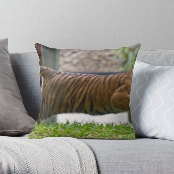 Speed Throw Pillow