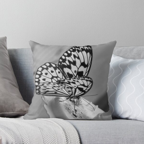 Item preview, Feeding butterfly designed and sold by MarkElsworthPic.