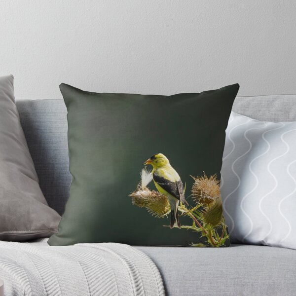 Aperçu de l'œuvre American Goldfinch 1 créée et vendue par Thomasyoung.