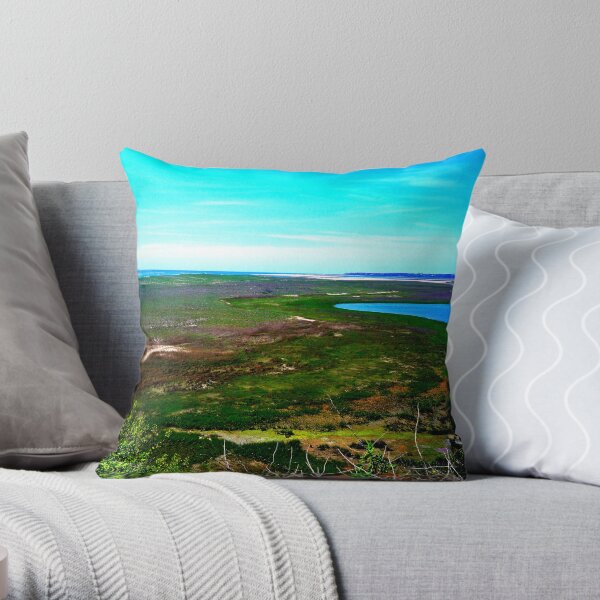 Cape cod landscape Throw Pillow
