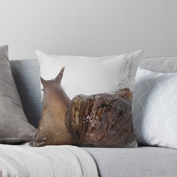 Item preview, Male Giant African Land Snail designed and sold by EmilyWednesday.