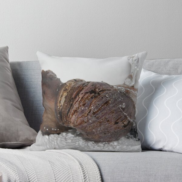 Item preview, Male Giant African Land Snail designed and sold by EmilyWednesday.