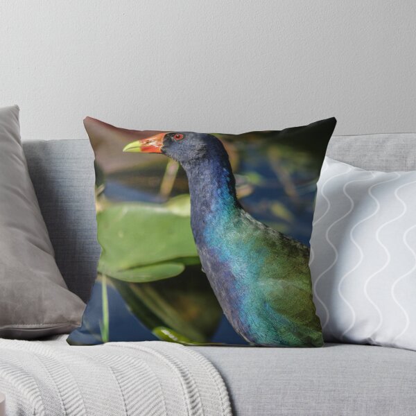 Item preview, Purple Gallinule  designed and sold by Seth LaGrange.