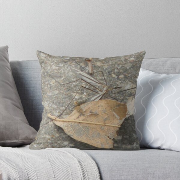 Item preview, Crane Fly designed and sold by Navigator.