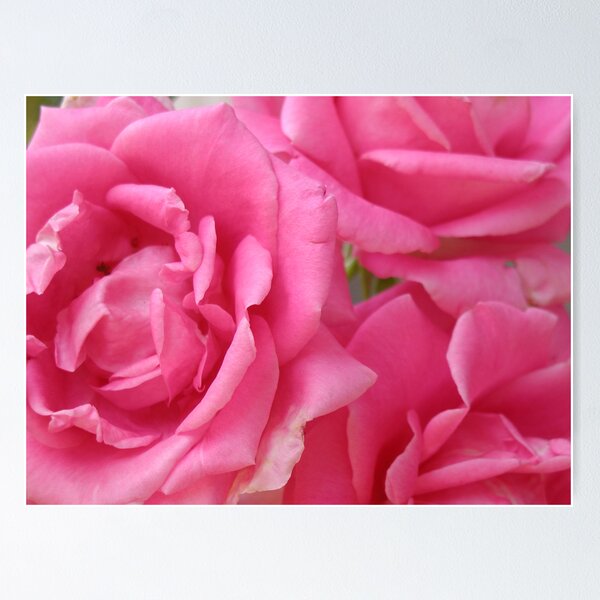 Item preview, Pink-a-Boo! designed and sold by Cupertino.
