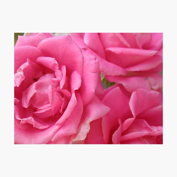 Item preview, Pink-a-Boo! designed and sold by Cupertino.