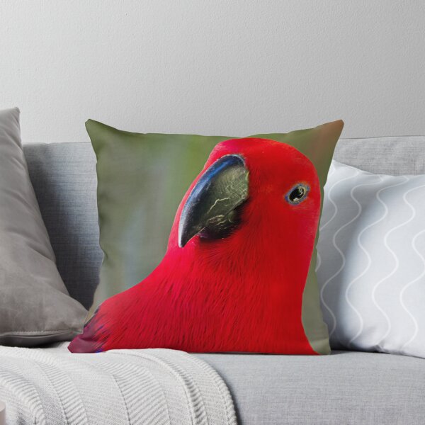 Item preview, Female Electus Parrot - Close up designed and sold by Sandra Chung.