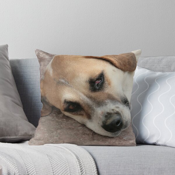 Item preview, Brown and White Dog on Cement designed and sold by rhamm.