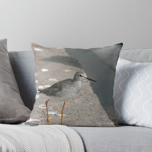 Item preview, Sandpiper on a Dock designed and sold by rhamm.