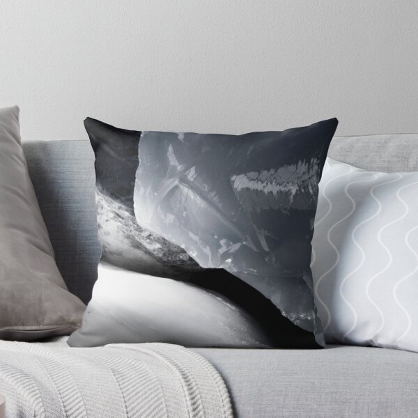 Item preview, turnstone designed and sold by BillReid.