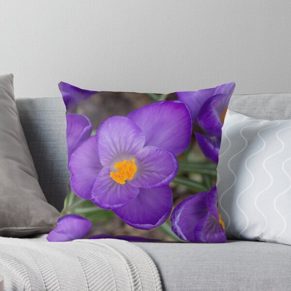 Item preview, Spring Arrival designed and sold by Lynn Gedeon.