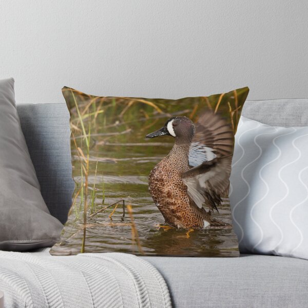 Item preview, Blue-winged Teal designed and sold by Ram Vasudev.