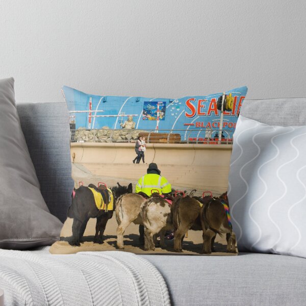 Item preview, blackpool donkeys designed and sold by photoeverywhere.