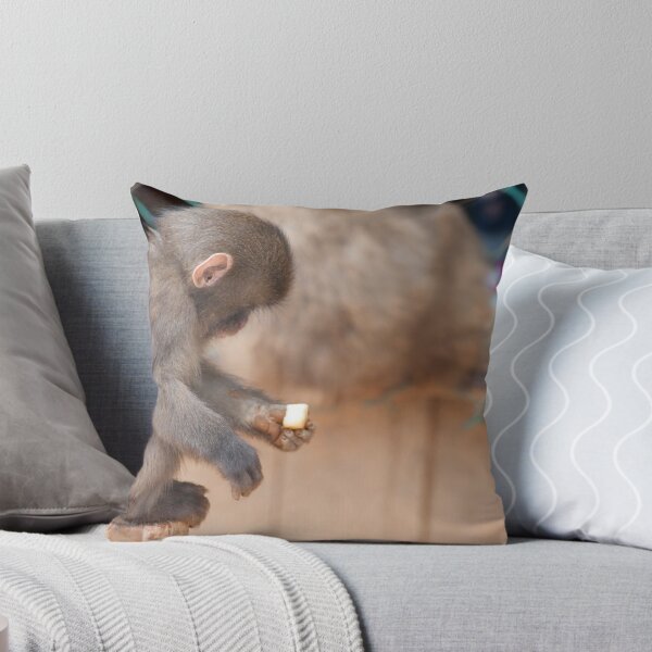 Item preview, monkey feeding designed and sold by photoeverywhere.