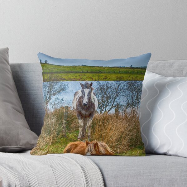 Item preview, Keeping Watch designed and sold by Chris Thaxter.