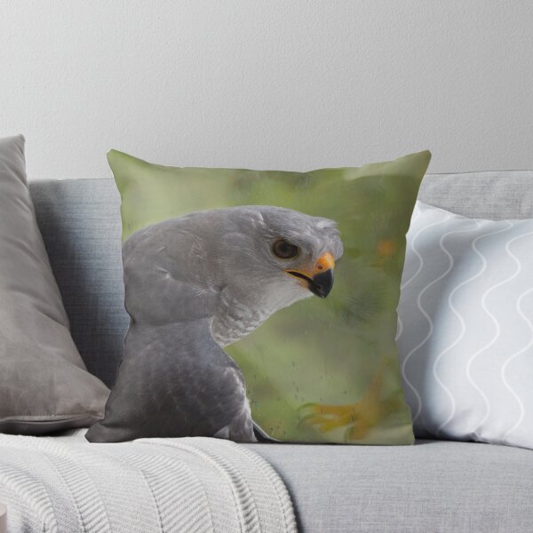 Item preview, Freeing A Goshawk designed and sold by byronbackyard.