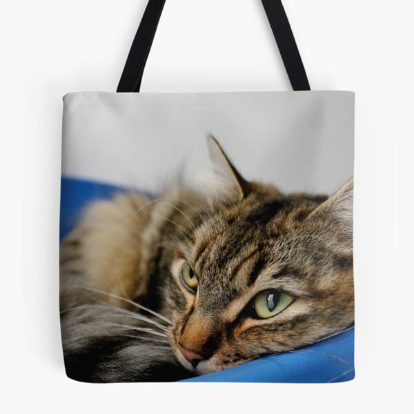 Item preview, I Will Trust You When I Trust You And Not Before designed and sold by Ladymoose.