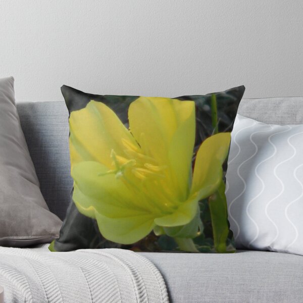 Item preview, Time for the Big Sleep - Evening Primrose designed and sold by Navigator.