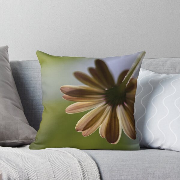 Item preview, Fragility designed and sold by Keith's Photo Artistry.