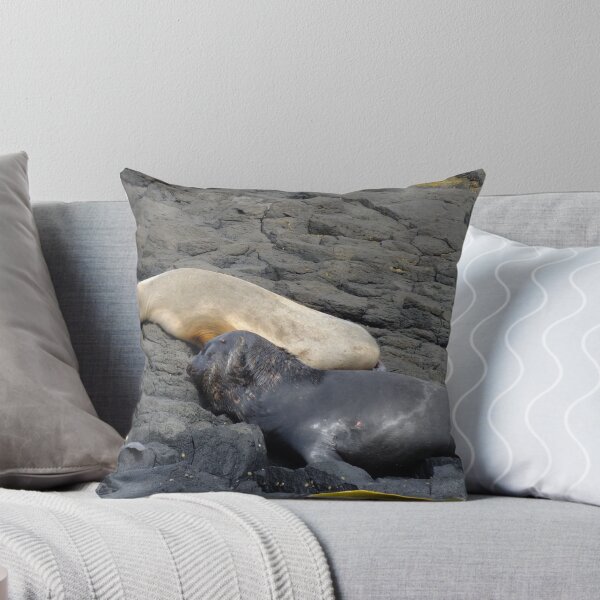 Item preview, Sea Lions designed and sold by Kaz-antarctica.