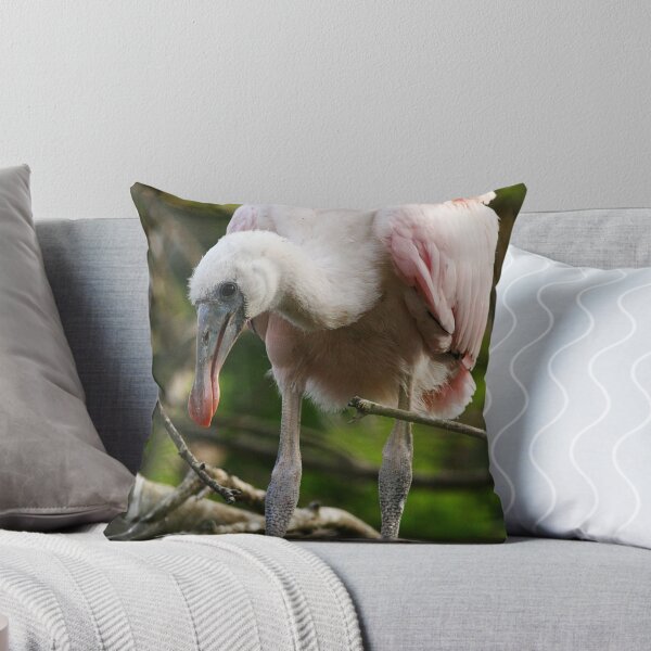 Artikelvorschau, Roseate Spoonbill Youngster entworfen und verkauft von Carol Bailey-White.