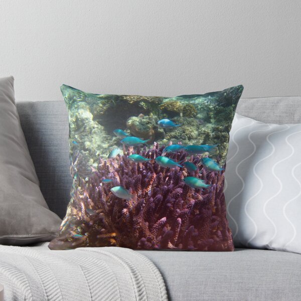 Item preview, Shoal of blue tropical fish designed and sold by photoeverywhere.
