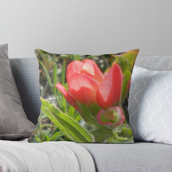 Item preview, Baby Indian Paintbrush designed and sold by Navigator.