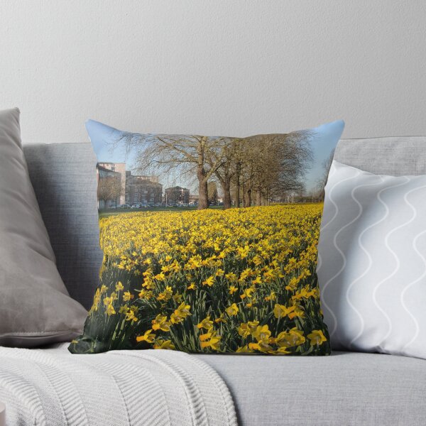 Aperçu de l'œuvre Daffodils in Spring créée et vendue par Jim Hellier.
