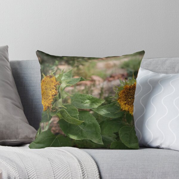 Item preview, 'Bear' Sunflowers designed and sold by Katala-Holling.