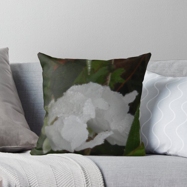 Item preview,  Dewey designed and sold by Navigator.