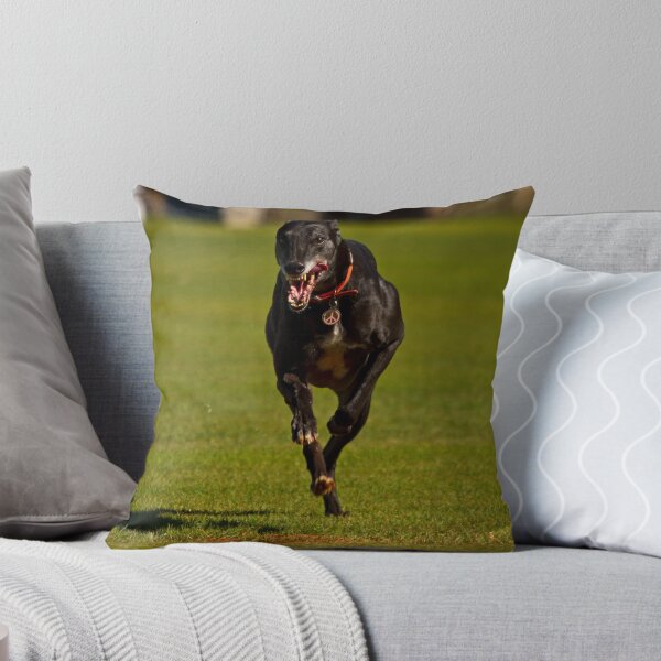 Item preview,  run in the park designed and sold by loza1976.