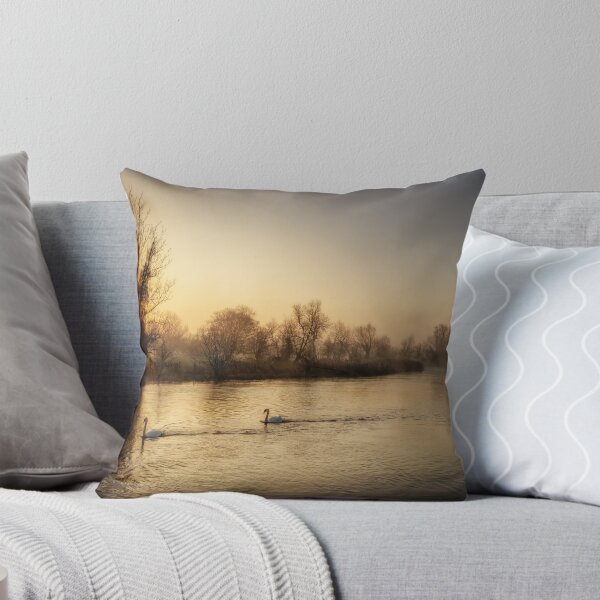 Item preview, Swan Sunrise designed and sold by TKpics.