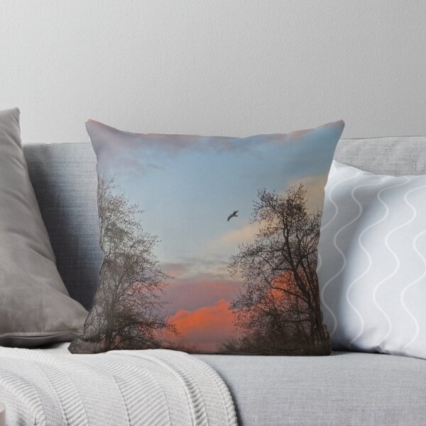 Artikelvorschau, Sundown Storm Clouds entworfen und verkauft von David Denny.