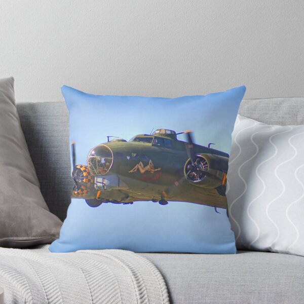 Item preview, Sally B - Close Pass - Shoreham - 2013 designed and sold by Colin  Williams Photography.