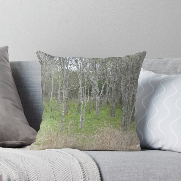 Item preview, The Changing Woods, The  Beginnings of Spring designed and sold by Navigator.